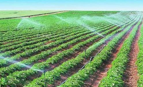 操鸡吧视频农田高 效节水灌溉